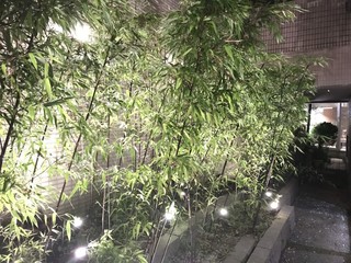 Suirin - 夜は庭をライトアップ。