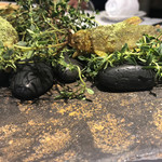 ラ・ヴァガボンド - ②