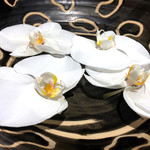 ラ・ヴァガボンド - 