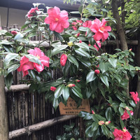 石焼料理 木春堂 - 