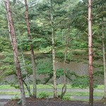 レジーナリゾート軽井沢 御影用水 - 