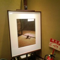 たん熊北店 名古屋店 - 落ち着いた空間