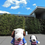 六花亭 - 函館旅行中のボキら。五稜郭タワーと箱館奉行所を観光した後、
      やってきたのは『六花亭 五稜郭店』だよ。五稜郭から歩いて
      すぐの所にあります。緑に覆われた六花亭らしい外観のお店だね。