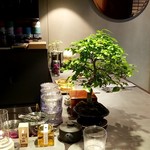 SABO SAPPORO TEA SALON produced by asami abo - 