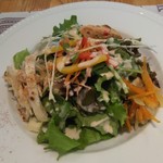 トラットリア ピウ リッコ - 本日の前菜とサラダ