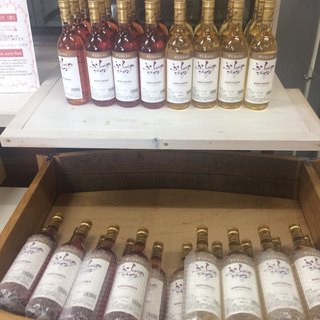 ふらのぶどう果汁工場_1