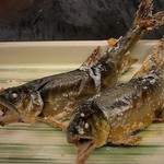 酒菜と炭 てりや - 料理写真:天然あゆの炭火焼