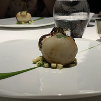 レフェルヴェソンス - 