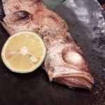 母や - ノドグロ君　こんにちは！！