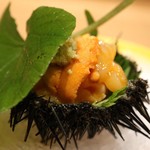 祇園 にし - 白えびとアオリイカの雲丹添え