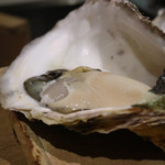 御幸町 田がわ - 岩牡蠣