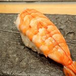 TATSU SUSHI - 