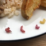 カフェアンドショップ ロータスランド - 2019/07/17
      今週のおまかせ 550円
      【夏野菜たっぷり！アジアンプレート】
      ・トマトライスと大豆ミートそぼろ
      ・目玉焼き
      ・大なすの厚切りステーキ
      ・ピリ辛ポテトフライ
      ・オニオンスープ