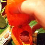 馳走なかむら - ほおずきの中には山桃