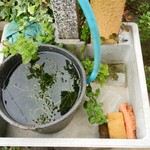 北珍 - おさかな