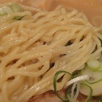 光麺 - 麺アップ。やや加水率高めのプリっとした麺です。