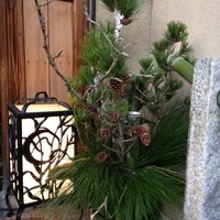 京都祇園 天ぷら八坂圓堂 - 