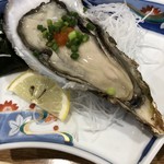 大衆酒蔵 日本海 - 