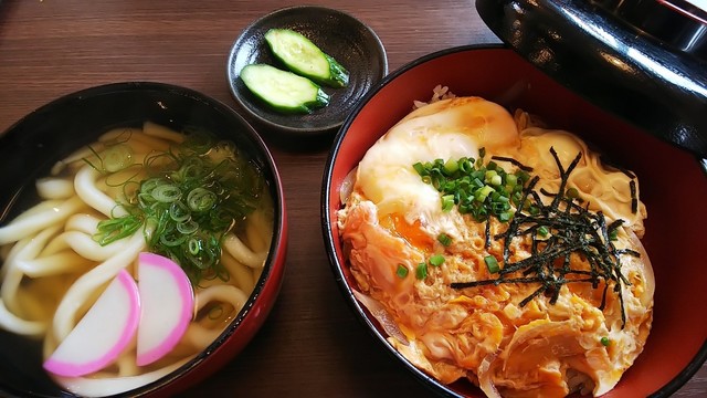 ふじ家うどん>