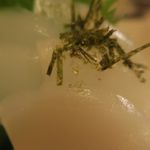 酒菜坊 橋蔵 - たちうお＆赤いか刺　ズームアップ