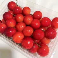 仁木町の農園直売で もぎたてのさくらんぼ 佐藤錦 By コスモス007 安崎園 仁木 その他 食べログ 仁木町の農園直売で もぎたてのさくらんぼ 佐藤錦 By コスモス007 安崎園 仁木 その他 食べログ