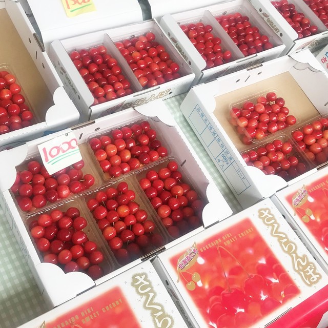 仁木町の農園直売で もぎたてのさくらんぼ 佐藤錦 By コスモス007 安崎園 仁木 その他 食べログ 仁木町の農園直売で もぎたてのさくらんぼ 佐藤錦 By コスモス007 安崎園 仁木 その他 食べログ