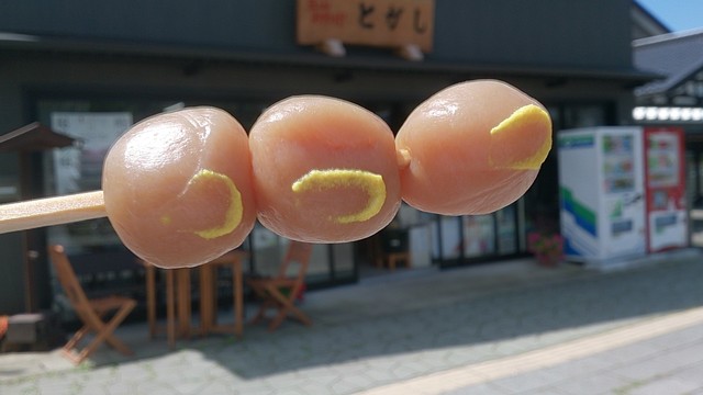 とがし - 藤島（その他）の写真