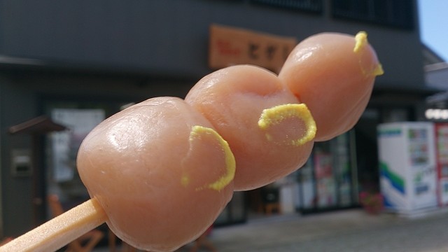 とがし - 藤島（その他）の写真