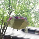 ザ　カウボーイハウス - ハルニレテラスにて