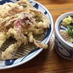手打うどん はりや - いか天ざるうどん