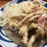 手打うどん はりや - いか天ざるうどん