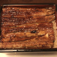 うなぎ川勢 - 