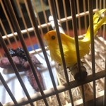 レスト ケイ ヤマウチ - 