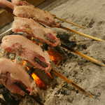 柳家 - 雌の猪2歳