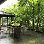 嵯峨沢館 - 深緑が眩しいテラス席