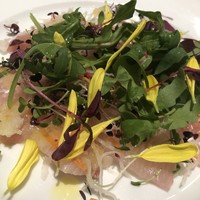 ダルマット 六本木ヒルズ店 - 