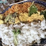 本手打ちうどん庄司 - 