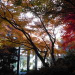 ホテル椿山荘東京 - 2011年12月