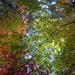 ホテル椿山荘東京 - 2011年12月