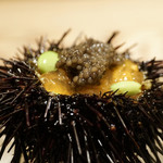 銀座ふじやま - 