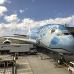 ANA SUITE LOUNGE、ANA LOUNGE - 