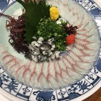 魚料理専門 魚魚一 - 