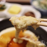 ゆば料理 東山ゆう豆 - 