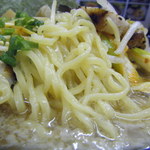 ホープ背脂らーめん　はやぶさ - 麺アップ