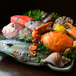 遠州灘や浜名湖で捕れる豊富な地魚を中心にご用意しております。