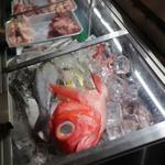 大甚 - ショーケース