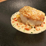 Restaurant Cinq - 5.甘鯛の松笠焼き 蛤  桜えび白菜香草トマトの白ワインソース 