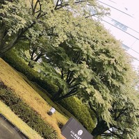 渡風亭 - 