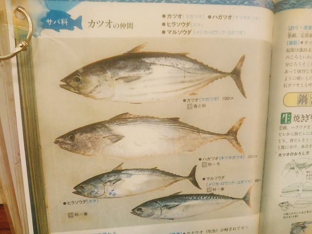 出張者にオススメ 土佐を味わう By ジャイトニオ猪場 ろばた焼 仙樹 ろばたやき せんじゅ 高知橋 ろばた焼き 食べログ