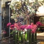 THE LOBBY LOUNGE - シャングリラホテル東京の花